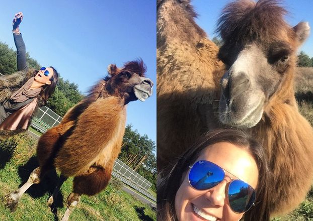 Kinga Rusin robi selfie z wielbłądem...