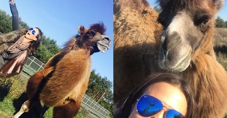 Kinga Rusin robi selfie z wielbłądem...