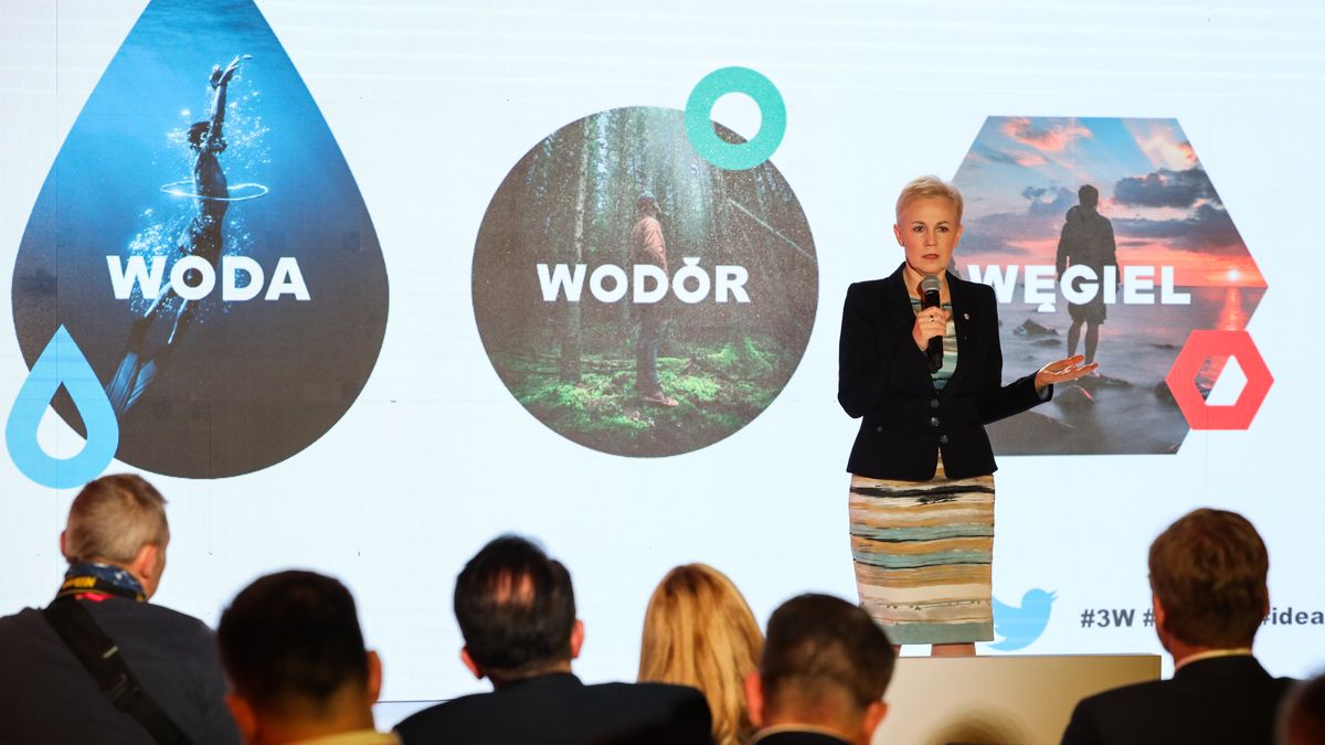 Beata Daszyńska-Muzyczka, Prezes Banku Gospodarstwa Krajowego