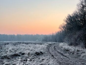 Nadchodzi ochłodzenie. Nawet -10 stopni przy gruncie