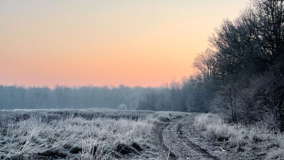 pogoda wschód słońca zima przymrozek las