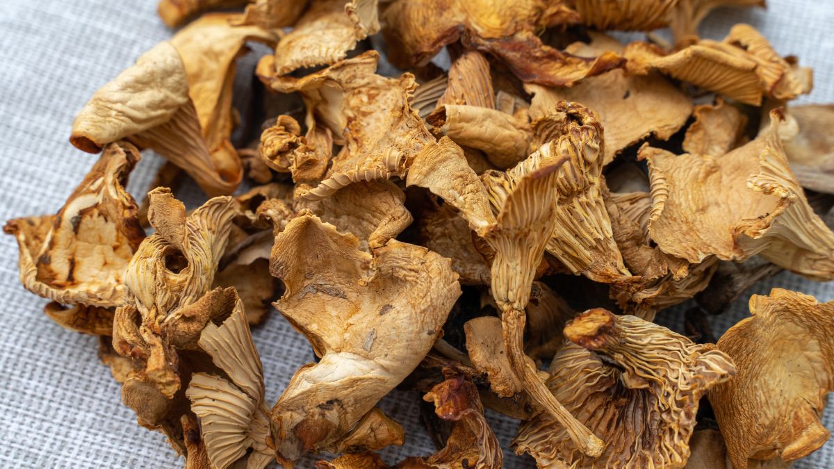 Suszenie grzybów nie zawsze się udaje