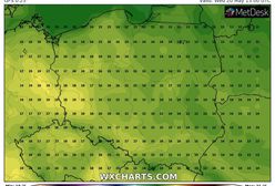 Pogoda. Warszawa w zasięgu wału wysokiego ciśnienia. Co z ociepleniem?