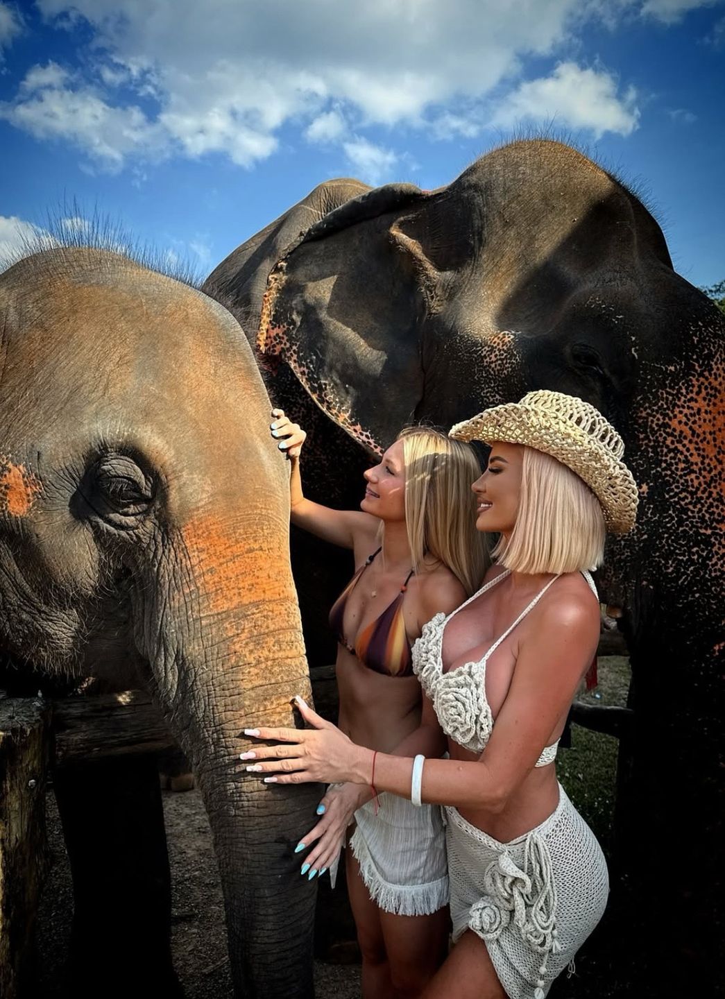 Izabela Macudzińska dokarmia słonie 