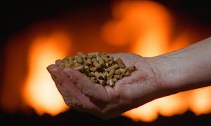 Pellet kosmicznie drogi. Jest ruch RPO