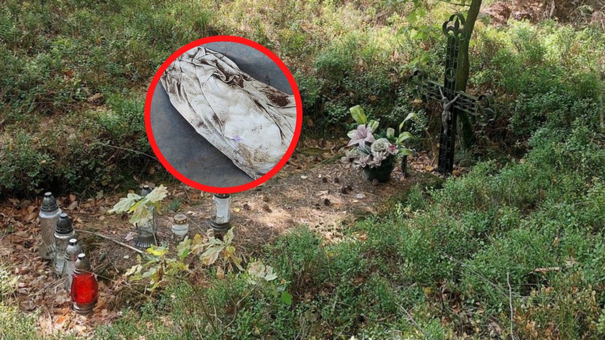 Odkrycie POMOST w woj. opolskim.