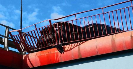 Kierowca ciężarówki nagle zmienił pas ruchu. Kierowca forda próbował uniknąć zderzenia i wjechał w barierki