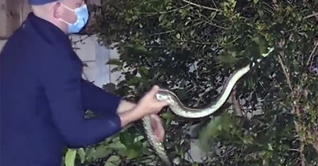 Zaczęły krzyczeć z przerażenia. Nawiedził je w takim miejscu