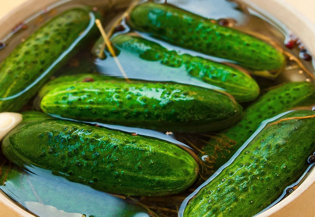 How to make crispy cucumbers in just 24 hours—no jars needed