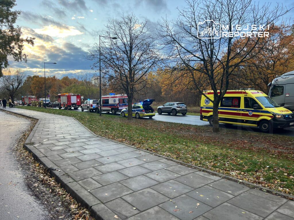 Karetki pogotowia i wozu strażackie ustawione wzdłuż drogi, obok spacerujących ludzi w parku. Jesienne drzewa w tle.