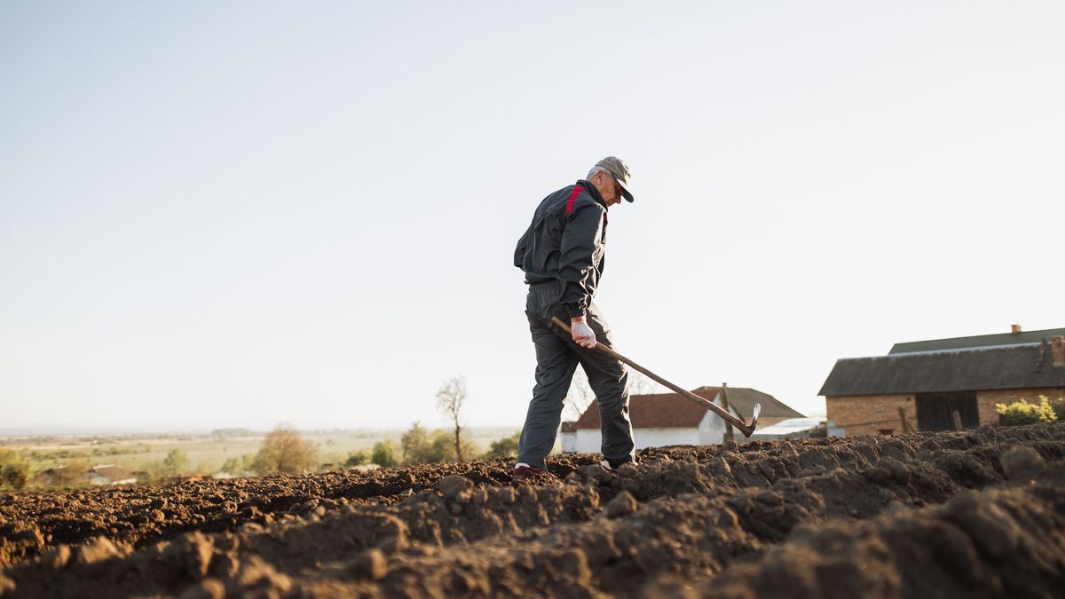 Ukraina obawia się o tegoroczne plony. Rząd zamierza wspierać akcję sadzenia