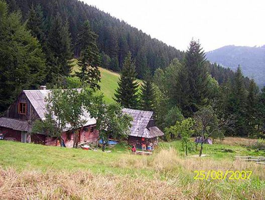 Obraz