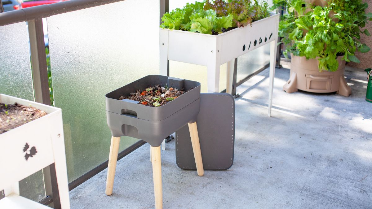 Kompostowanie w mieszkaniu jest prostsze niż myślisz