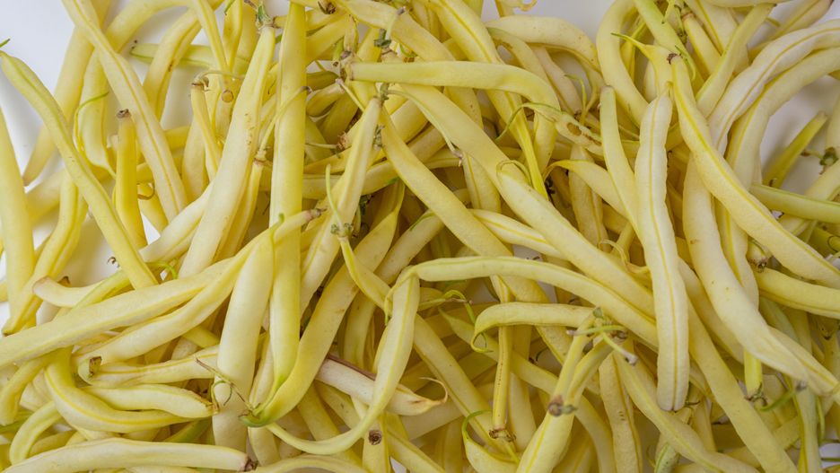 Co oznaczają plamki na fasolce szparagowej?