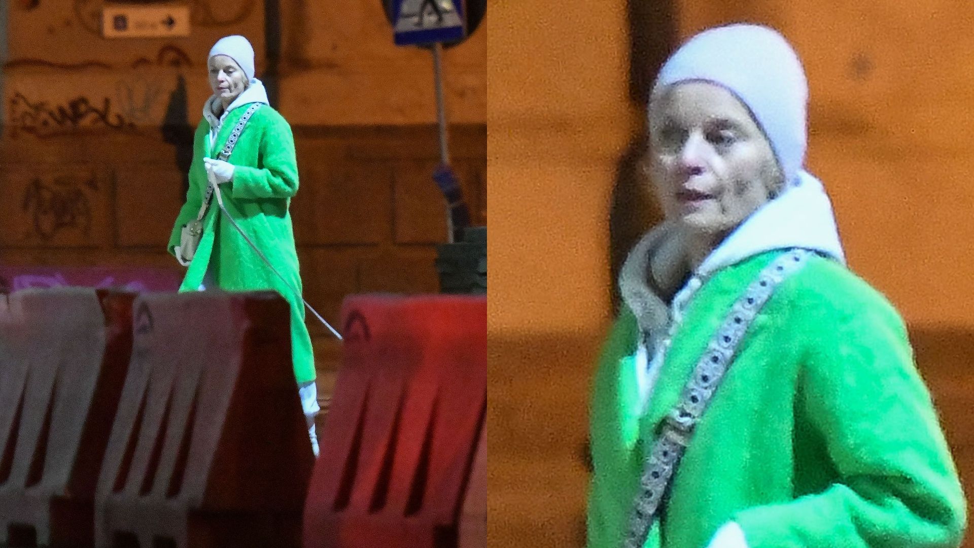 Małgorzata Foremniak z psem