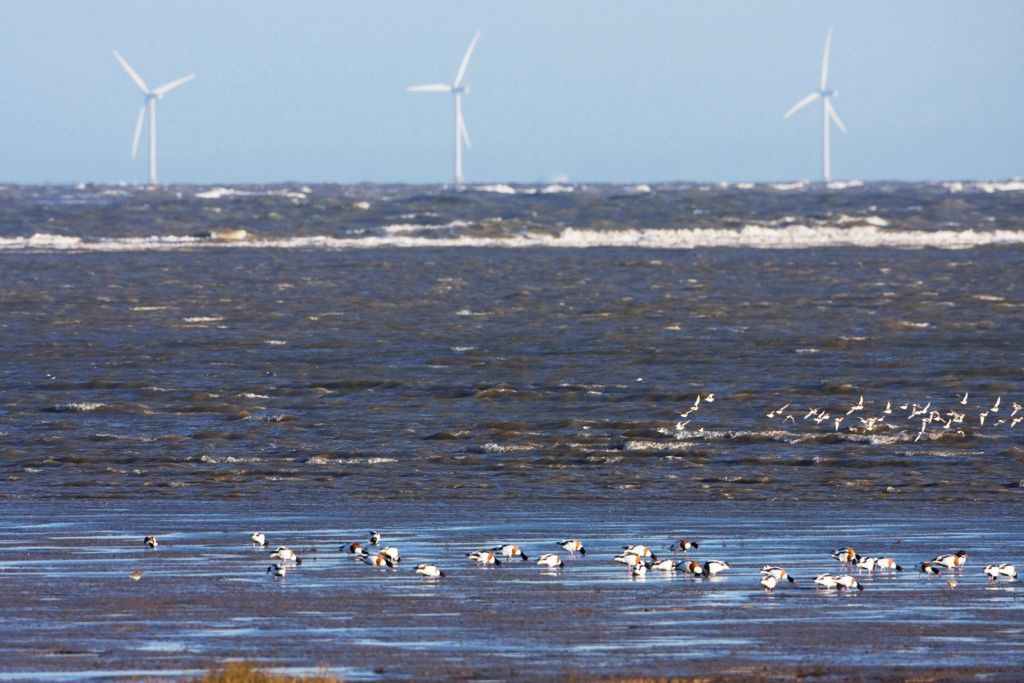 Talacre to wioska we Flintshire na północnym wybrzeżu Walii