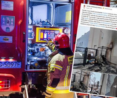 Podpalili lodówkę społeczną w Łodzi. "Komuś bardzo przeszkadzała"