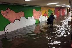 Ulewa w stolicy to zalane przejścia podziemne, ulice i chodniki. Kto za to odpowiada?