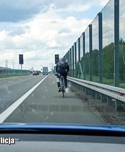 Jechał drogą ekspresową S3 na rowerze. "Chciał skrócić sobie podróż"