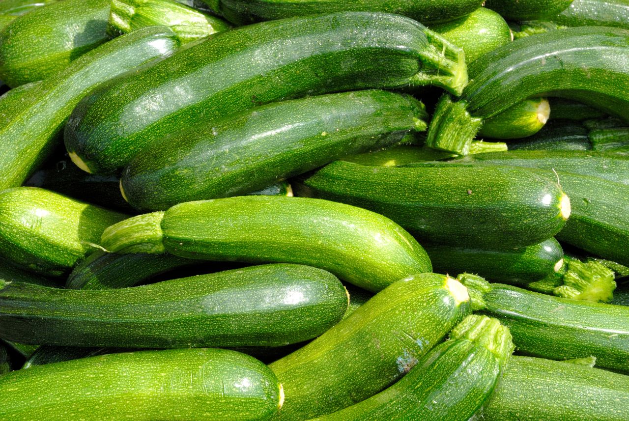 Zucchini - calories, values and nutrients, properties