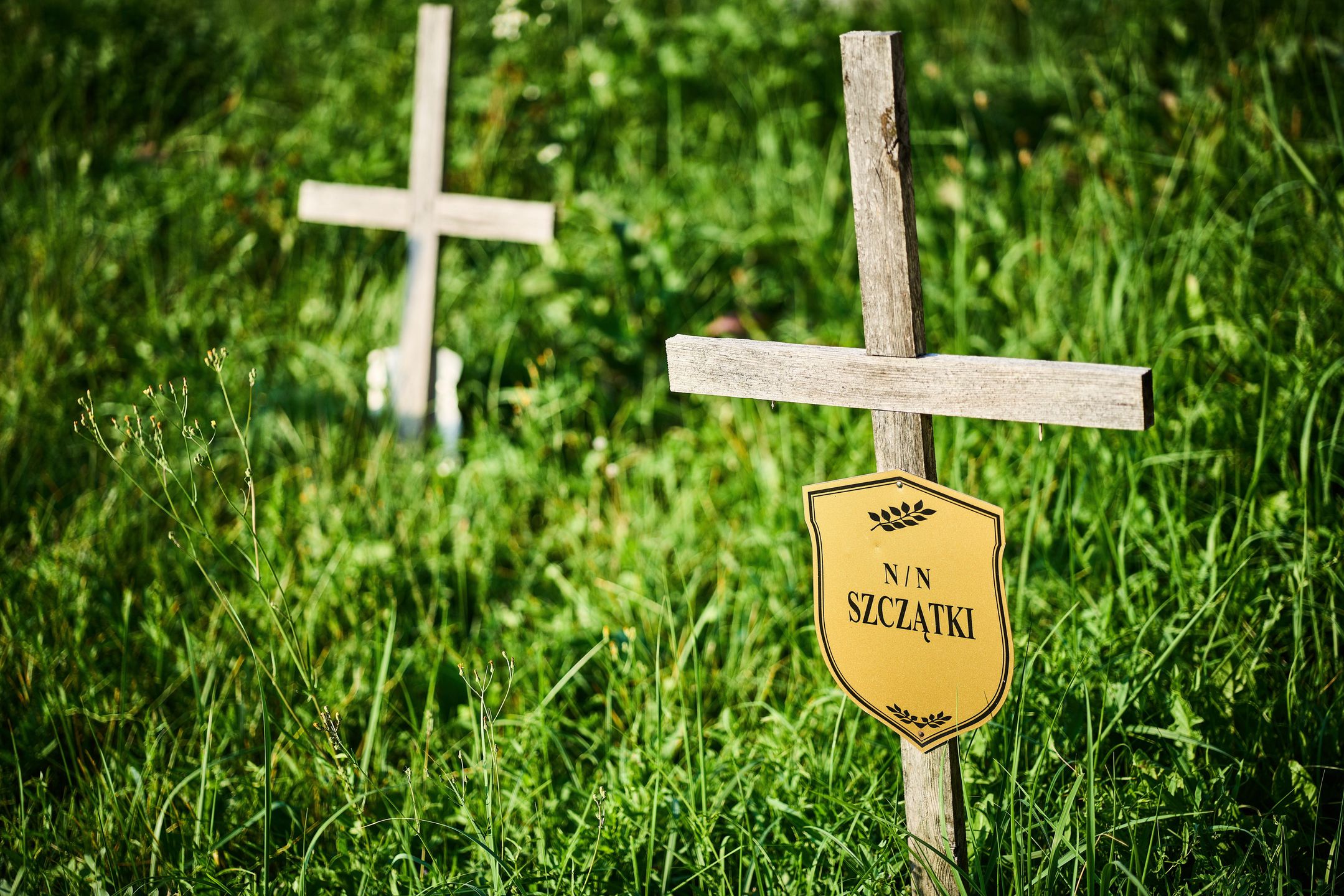 Cmentarz przy Zakładowej w Łodzi - tu pochowano dra Bieniaka