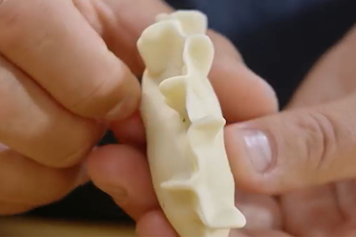 Falbanka naprzemienna Karola Okrasy