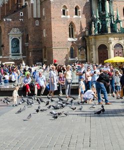 Do polskiego miasta przyjadą tłumy. Powód jest jeden