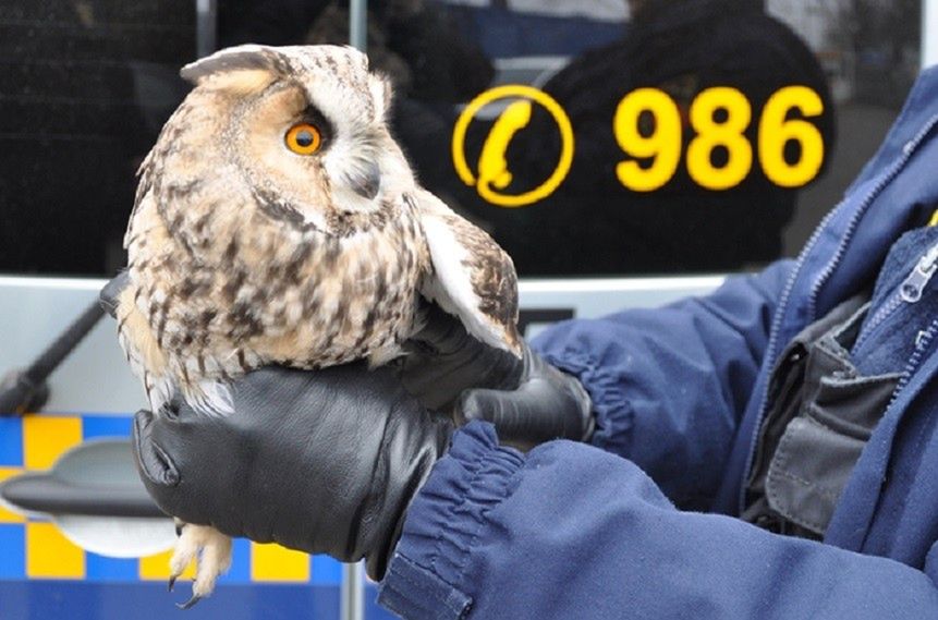 Eko Patrol coraz częściej pomaga zwierzętom