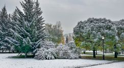 Kiedy pierwszy śnieg? Czeka nas długie oczekiwanie