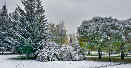 Kiedy pierwszy śnieg? Czeka nas długie oczekiwanie