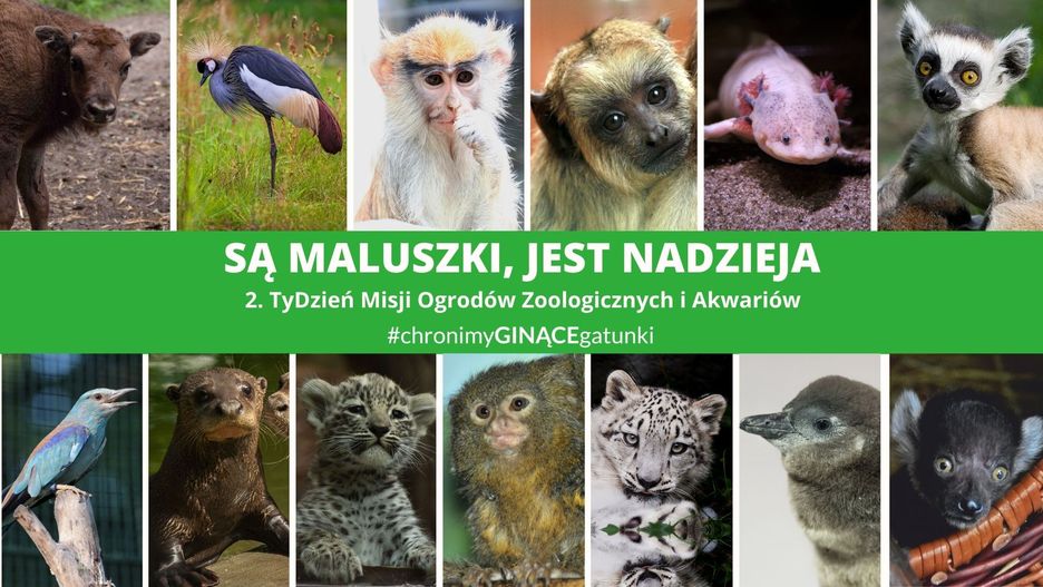 Warszawa. Wszyscy ambasadorowie akcji