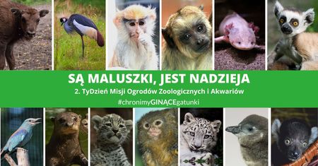 Warszawa. Ogrody zoologiczne w Polsce świętują. Mają wspólną misję