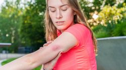 Kleszcz, komar, a może meszka? Czy potrafisz odróżnić ich ukąszenie?