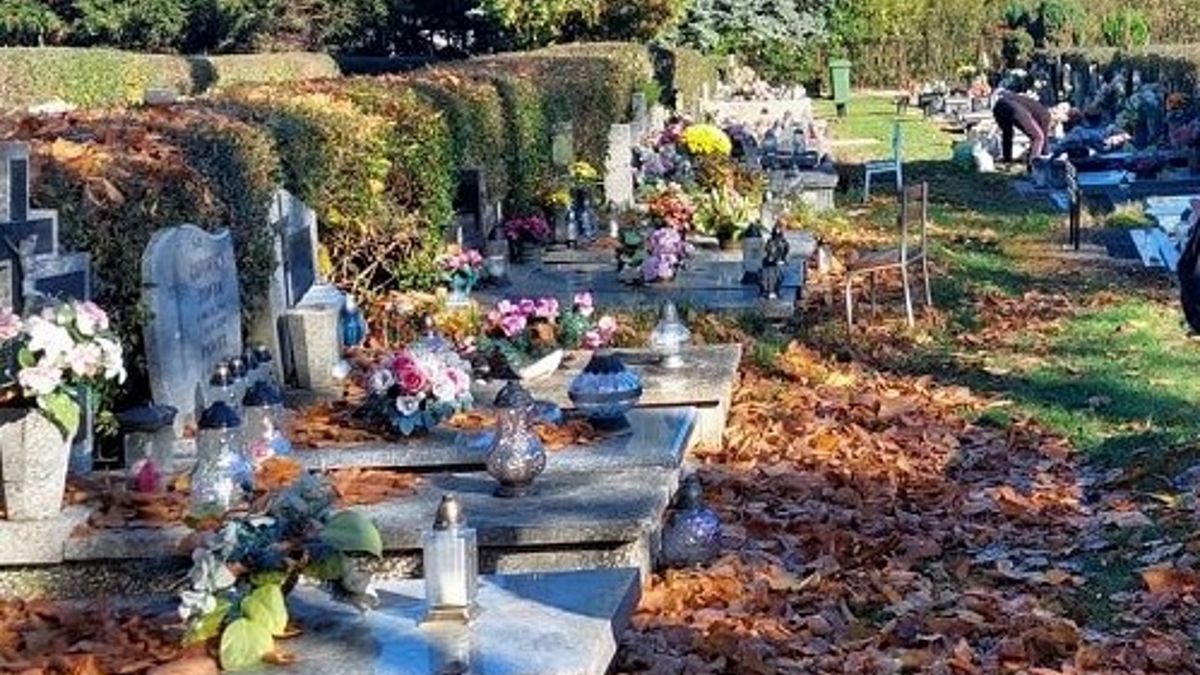 Zdjęcie ilustracyjne.