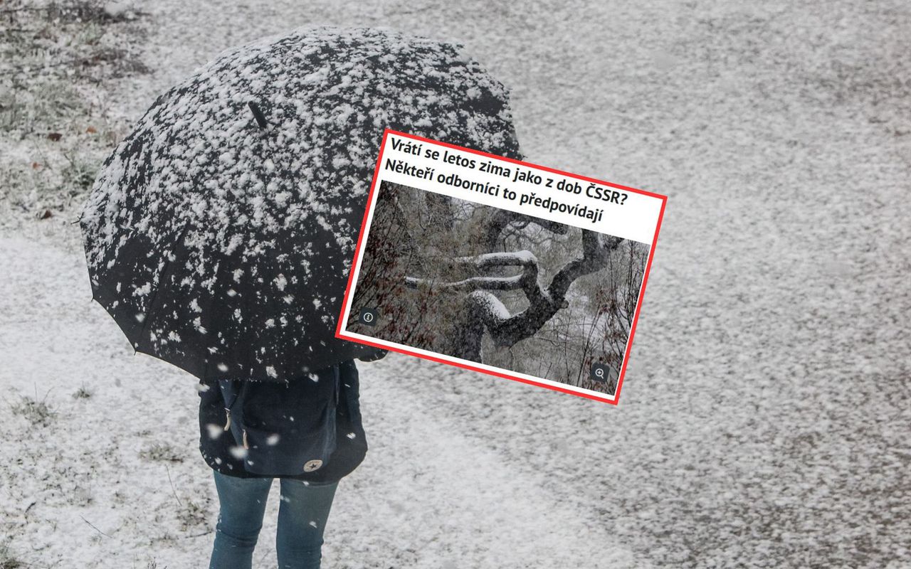 Pogoda zimą jak za dawnych lat? Czesi sprawdzili prognozy. Oto efekt
