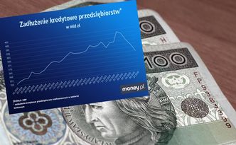 Firmy biorą mniej kredytów. NBP sprawdził, czy to wina banków