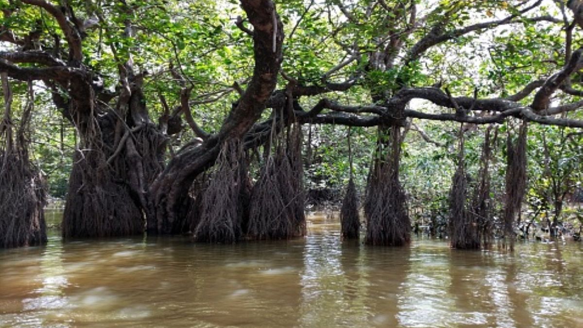 Zdjęcie ilustracyjne