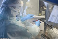 Koronawirus w Polsce. Dr Tomasz Dzieciątkowski: to nie jest dżuma