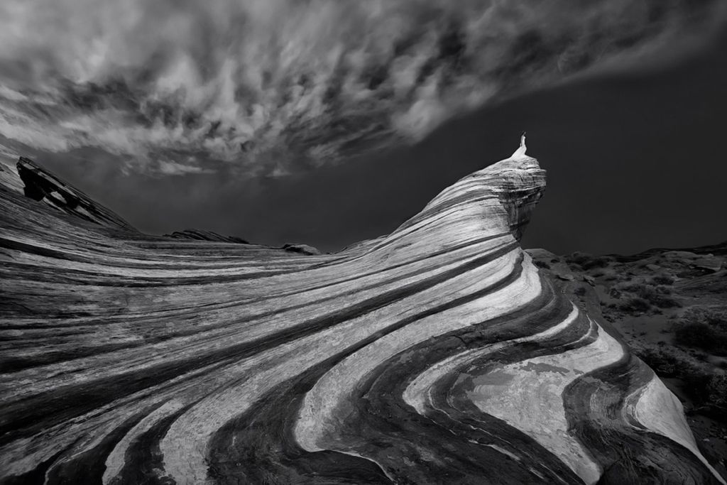 International Wedding Photographer of the Year 2019 - najlepsze zdjęcia 7