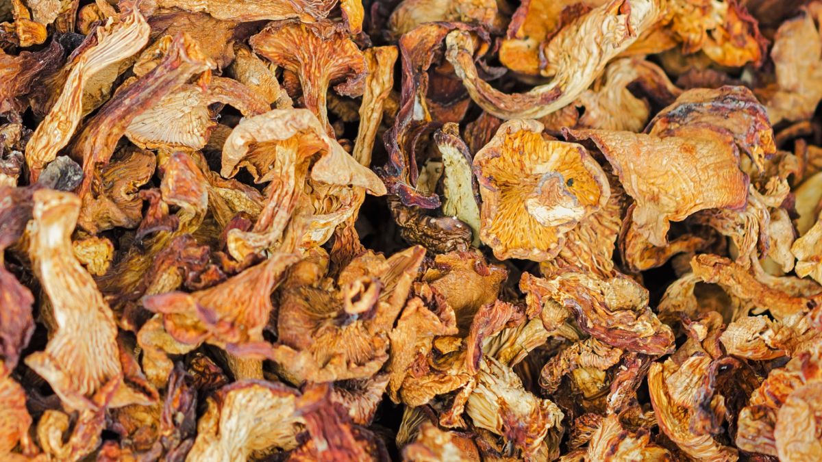 Suszone grzyby osiągają zawrotne ceny