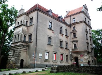 Zamek w Płotach kupiony za 1 zł. Gmina chce mu przywrócić dawny blask