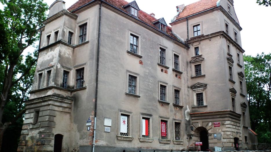 zamek w Płotach