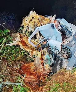 Koszmarny wypadek. Ciężarówka zmiażdżona