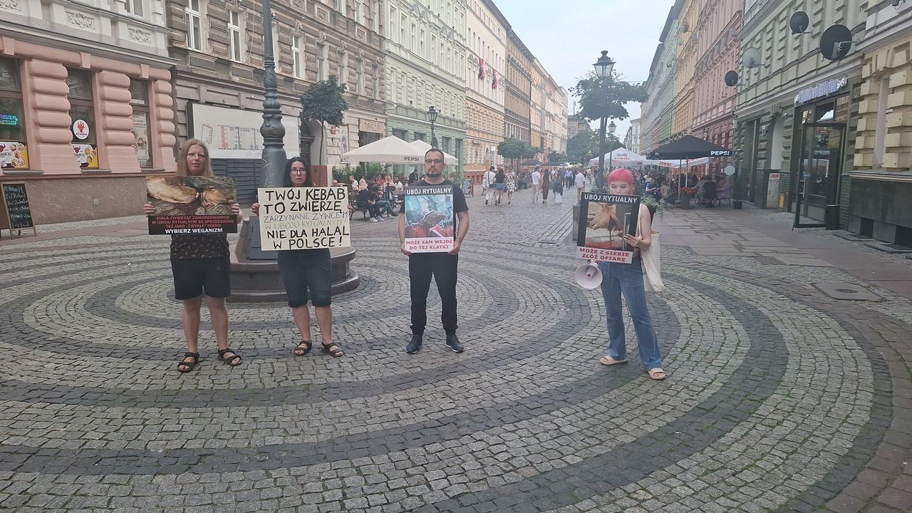 Szczecin: Protest przeciwko rytualnemu ubojowi zwierząt na deptaku