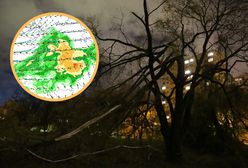 Pogoda dla Polski. Silne nawałnice i wichury. Powieje nawet 100 km/h