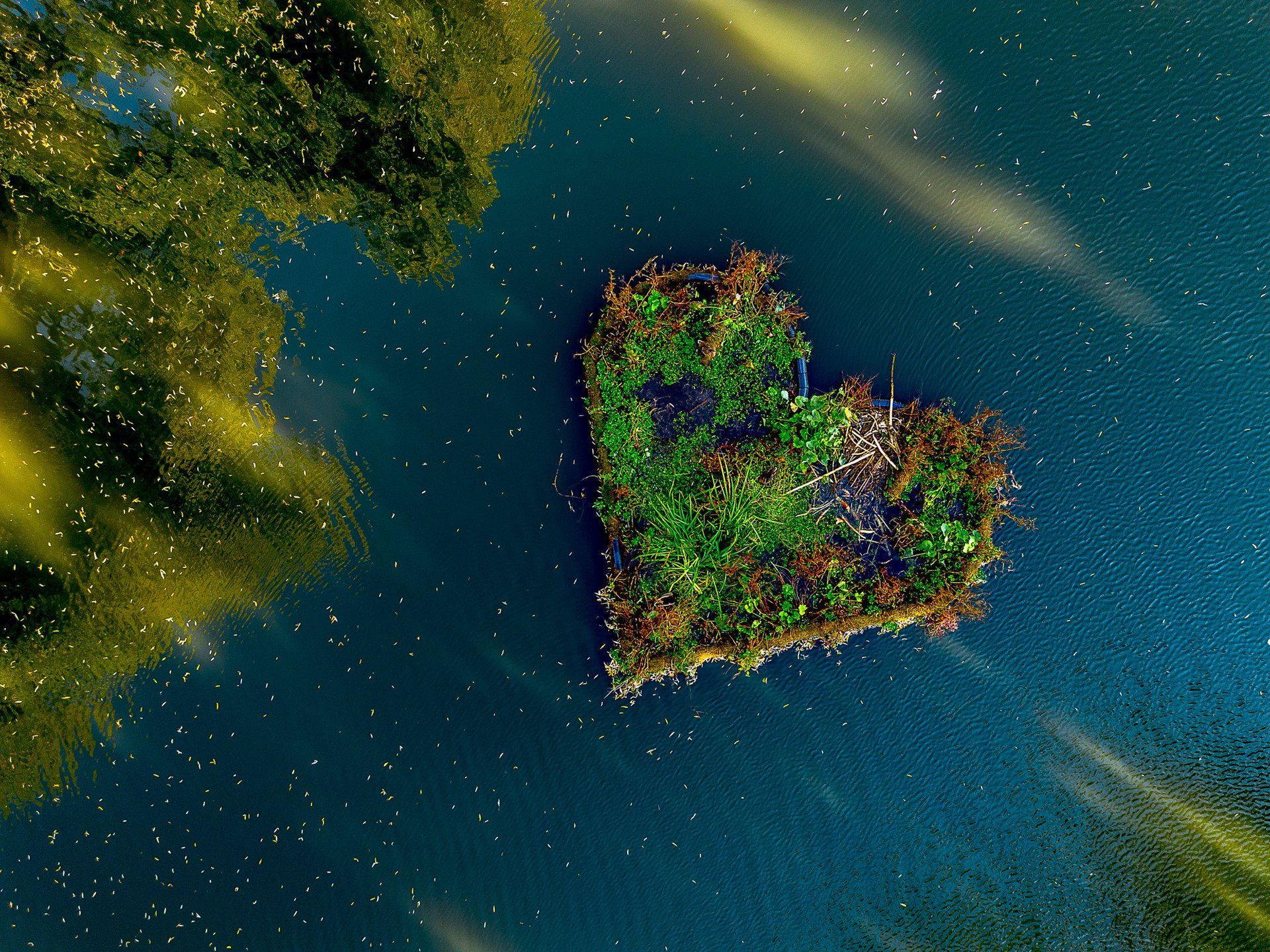 Park Oruński, jesień 2025