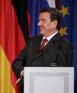Moskiewski łącznik. "Schröder zawsze był płatną marionetką i pionkiem Putina"