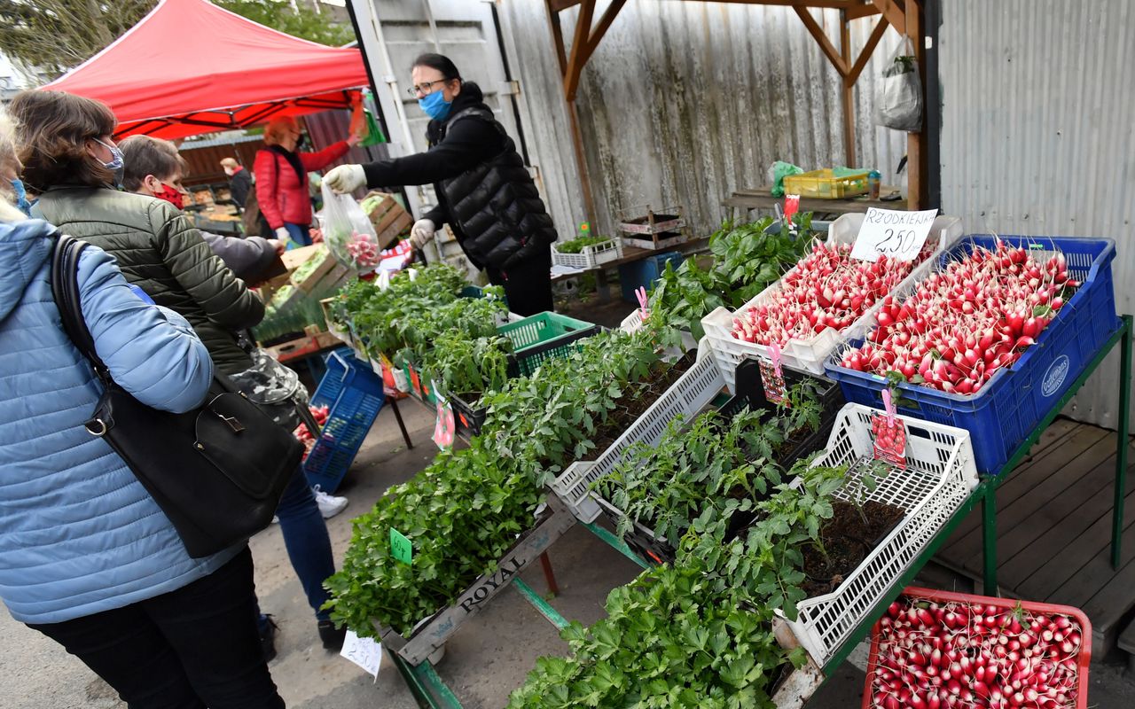 Czereśnie po 70 zł za kilo. Uwaga. To import z kraju ogarniętego epidemią koronawirusa