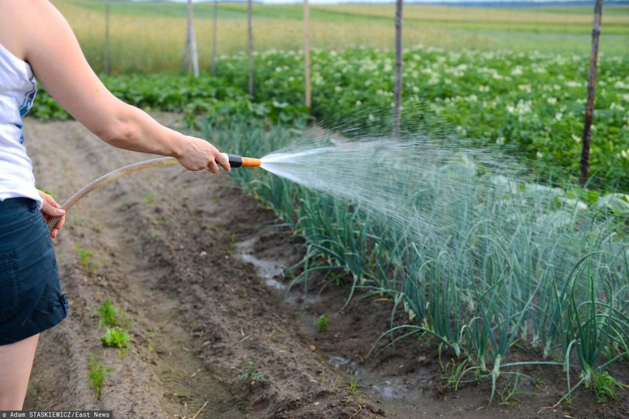 Susza w kranach. Gminy apelują o racjonalne korzystanie z wody
