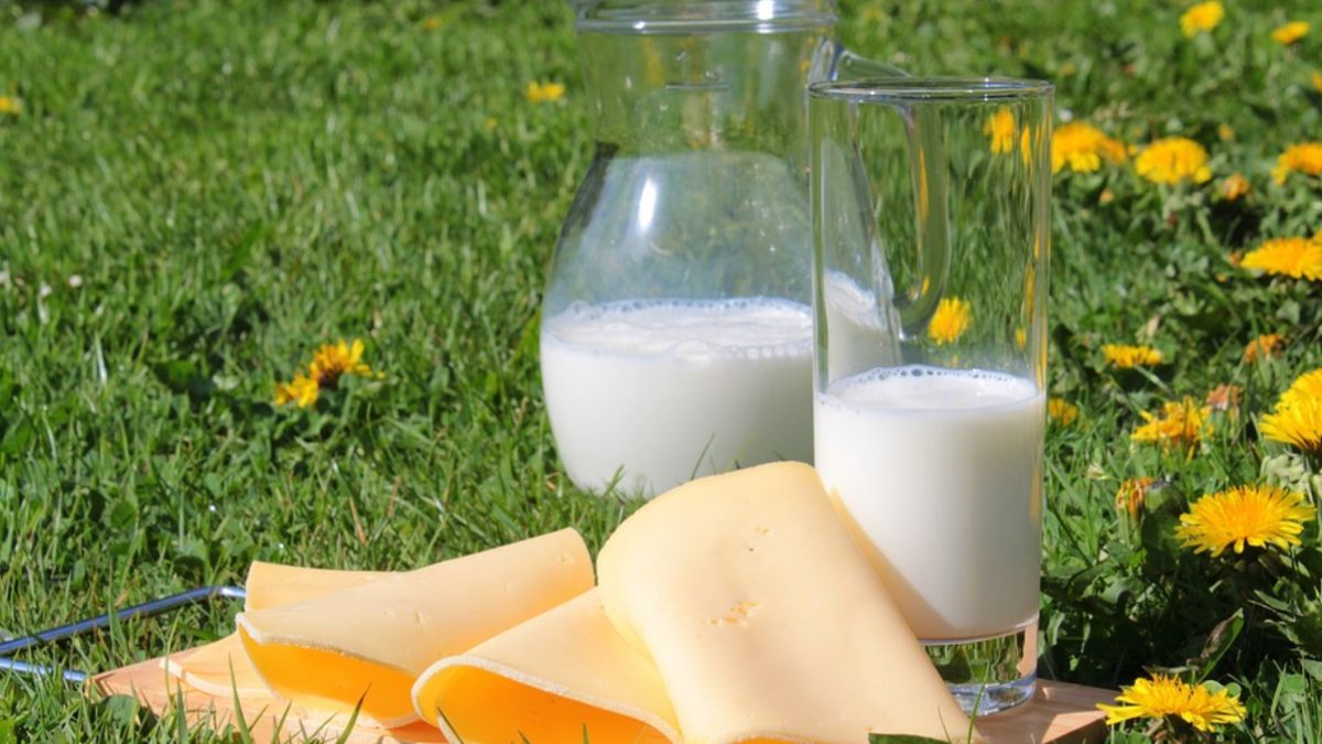 Najbardziej zdrożały: mleko, sery i jaja